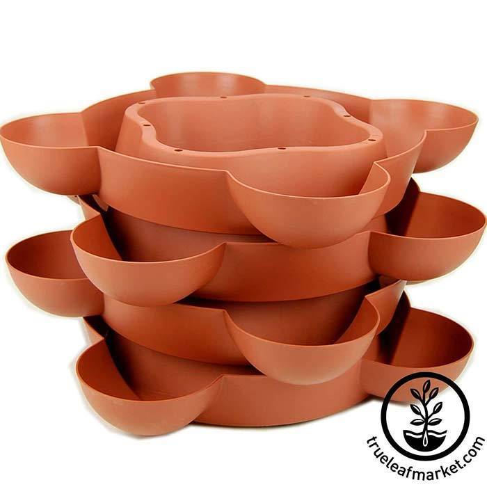 https://cdn.shopify.com/s/files/1/2016/2681/products/terra-cotta-expansion-trays-wm_700.jpg?v=1562978057