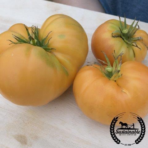 Tomato Seeds - Amana Orange - Organic
