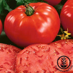 Tomato Seeds - Beefsteak Determinate