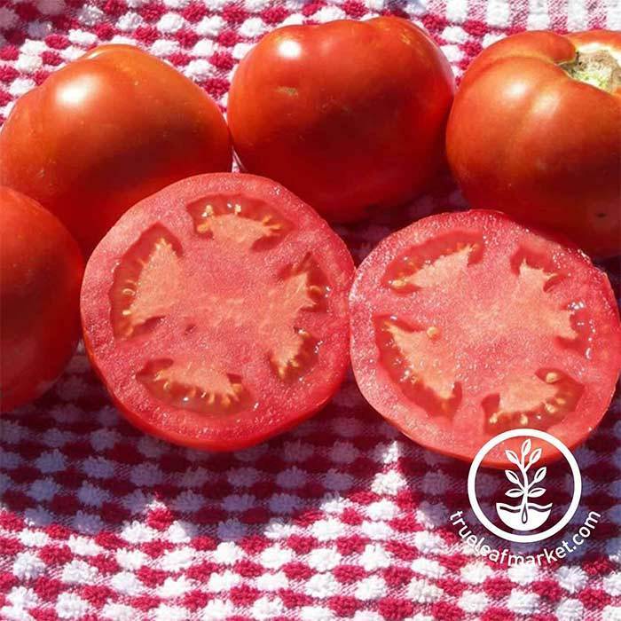 Hothouse Beefsteak Tomatoes (full case: 15 lbs