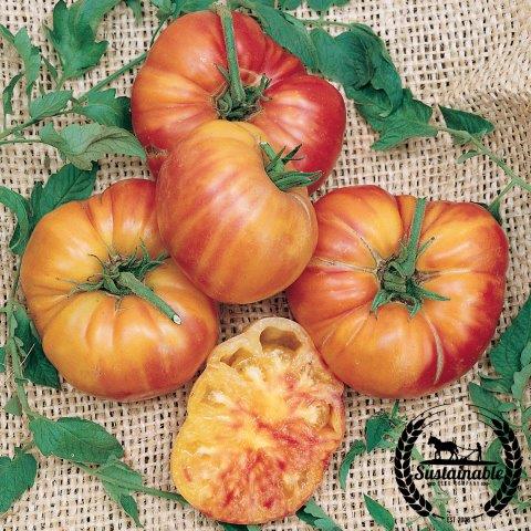 Beefsteak Rainbow Blend' - (Non-GMO) - Tomato Seeds - (Heirloom) - 300mg