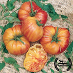 Tomato Seeds - Big Rainbow - Organic