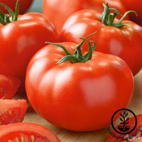 Tomato Seeds - Brandymaster Red F1