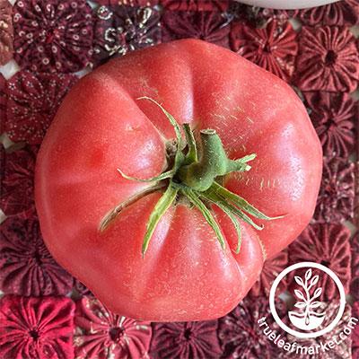 Pink Brandywine Tomato Seeds -- Organically Grown, non-GMO, Heirloom, Made  in Wisconsin - USA