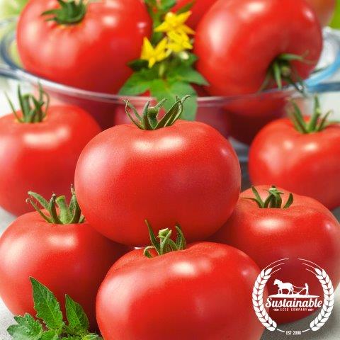 Burbank Slicing- Organic Tomato Seeds