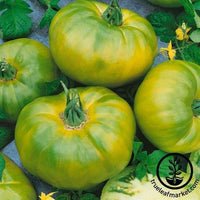 Tomato Seeds - Chef's Choice Green F1 AAS
