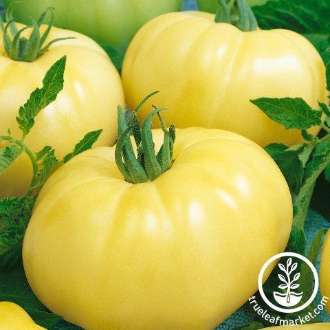 Tomato Seeds - Chef's Choice Pink F1 - Packet, Vegetable Seeds, Eden Brothers