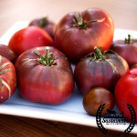 Tomato Cherokee Purple Organic Seed