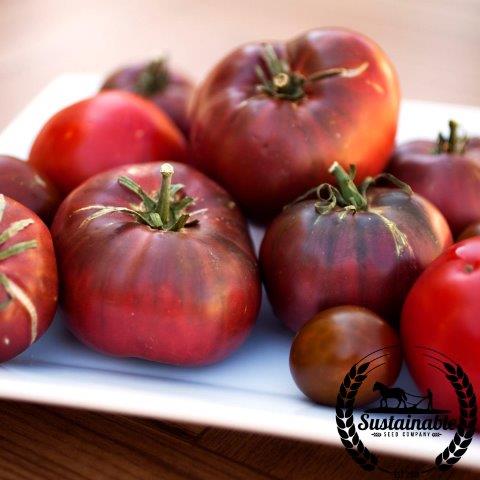 Slicing Tomato Seeds - Cherokee Purple