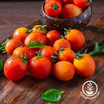 cherry orange tomato