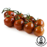 Tomato Chocolate Cherry Seed