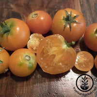 Chef's Choice Orange Hybrid Tomato, AAS Winners: Totally Tomatoes