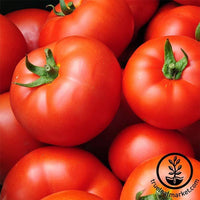 Tomato Early Girl Hybrid Seed