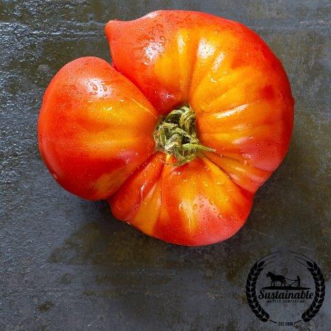 Tomato Seeds - Flame - Organic