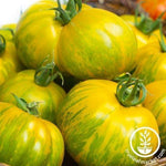 Tomato Seeds - Green Zebra Giant