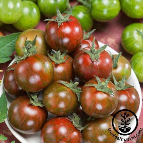 Tomato Seeds - Gum Drop Brown F1