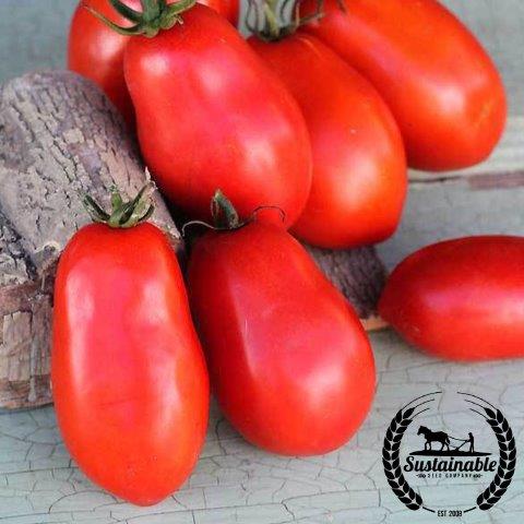 Non-GMO Roma Tomato Garden Seeds, Heirloom, Organic Gardening