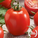 Tomato Seeds - Micado Violetter - Organic