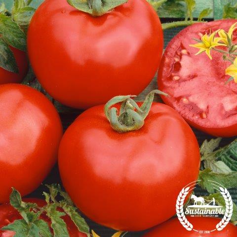 Tomato Seeds - Rutgers - Organic