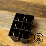 Bootstrap Farmer - 6 Cell Heavy Duty Plug Tray - Close up