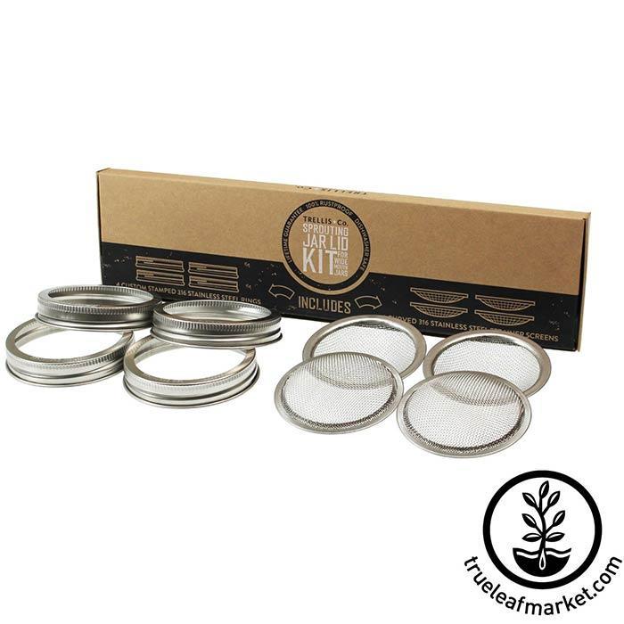 Stainless Steel Wide Mouth Sprouting Jar Strainer Lid, Trellis & Co