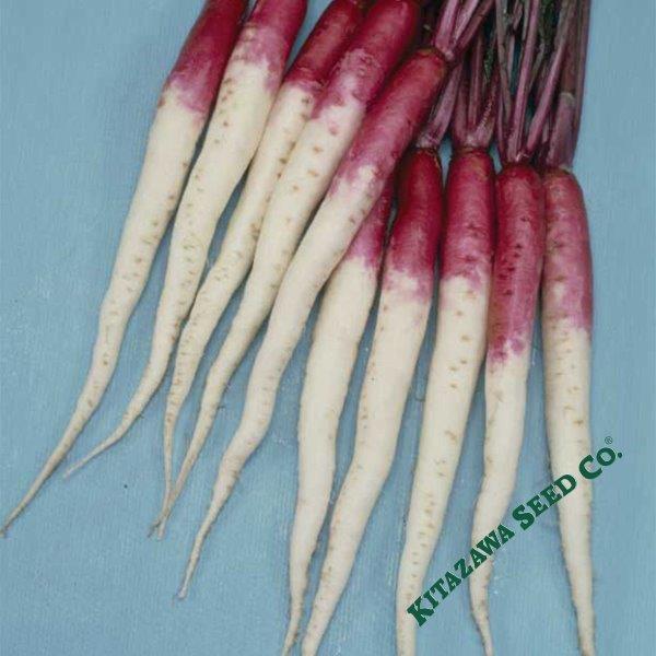 Turnip Seeds - Hinona Kabu