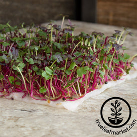 ultimate hydroponic microgreens mix