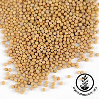 Non-GMO Organic Whole Millet