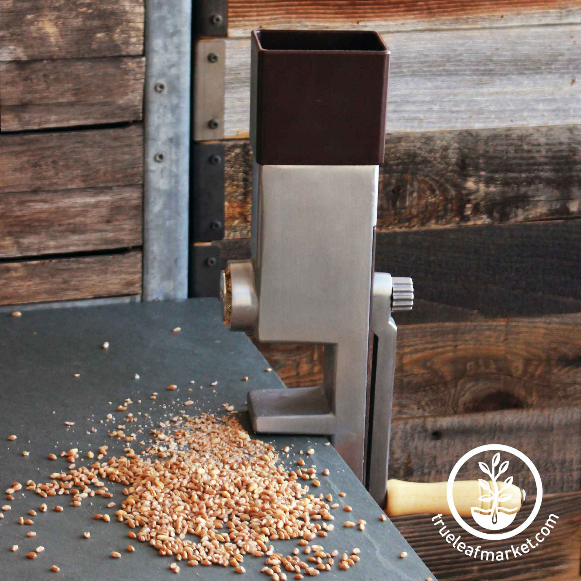 How do you assemble the grain mill?