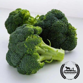 Broccoli Waltham 29 Organic Vegetable Seed