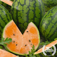 Watermelon Seeds - Tendersweet Orange - Organic