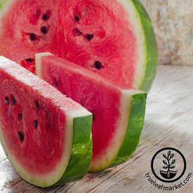 Crimson Sweet Watermelon Seeds