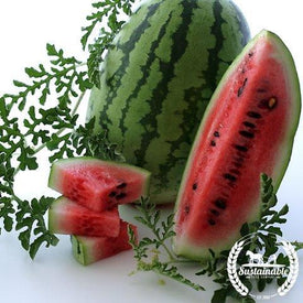 Organic Jubilee Watermelon Seeds