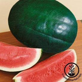 Watermelon Seeds - Triple Baby F1