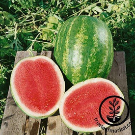 Watermelon Seeds - Triple Express F1