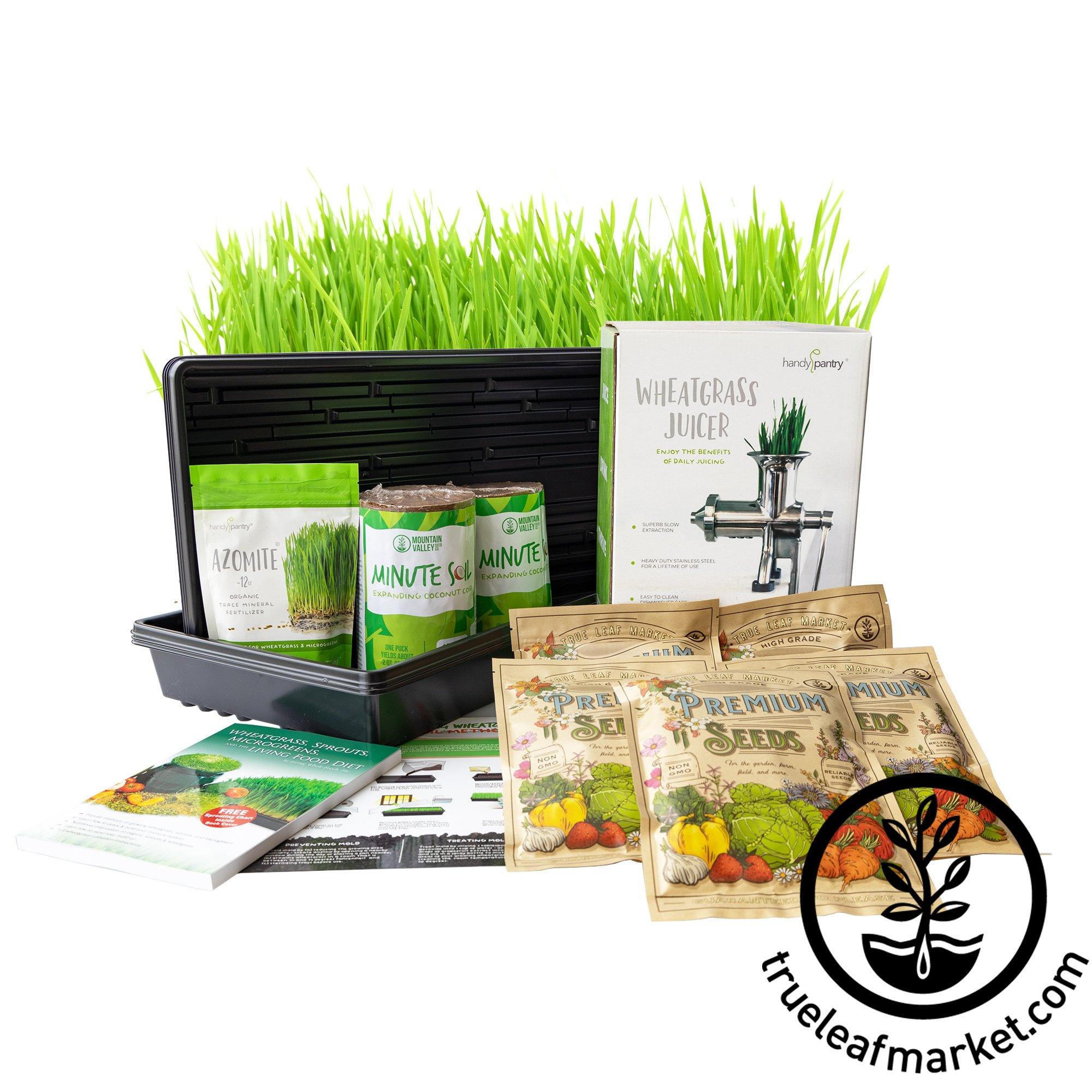 Hurricane Stainless Steel Manual Wheatgrass Juicer by Handy Pantry | True  Leaf Market Seed Company