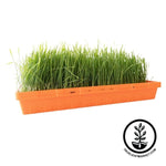 SPECIAL EDITION Harvest Orange 1020 Heavy Duty Garden Tray grass