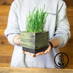 Wood Planter Box - Square - grass - hands