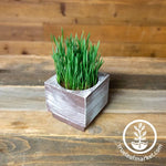 Wood Planter Box - Square - turquoise