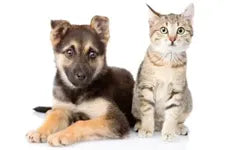 Healthy products for your cat, dog, bird, or other pets