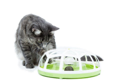 The Catit Spinner, a great choice in toys for independent play