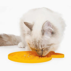 Lickimats are important to improving the wellbeing of cats