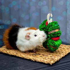 Small animal Christmas Gnawable Wreath