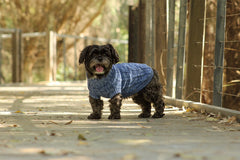 Huskimo Jumper Cableknit Chambray Blue for Dogs