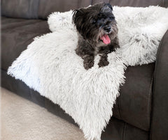 The Barkley & Bella Bliss sofa bed for dogs & cats