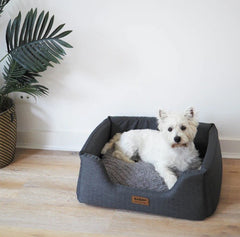 Buy The Best Dog Beds For Puppies & Dogs