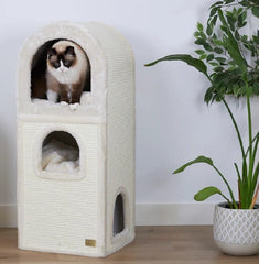 Kazoo Cat Den & Scratching post