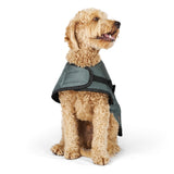 Kazoo Eco Adventure Dog Coat Slate