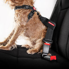Seat belt to harness attachment for dogs