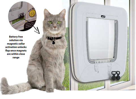 Lockable pet doors with magnetic collars  We Know Pets